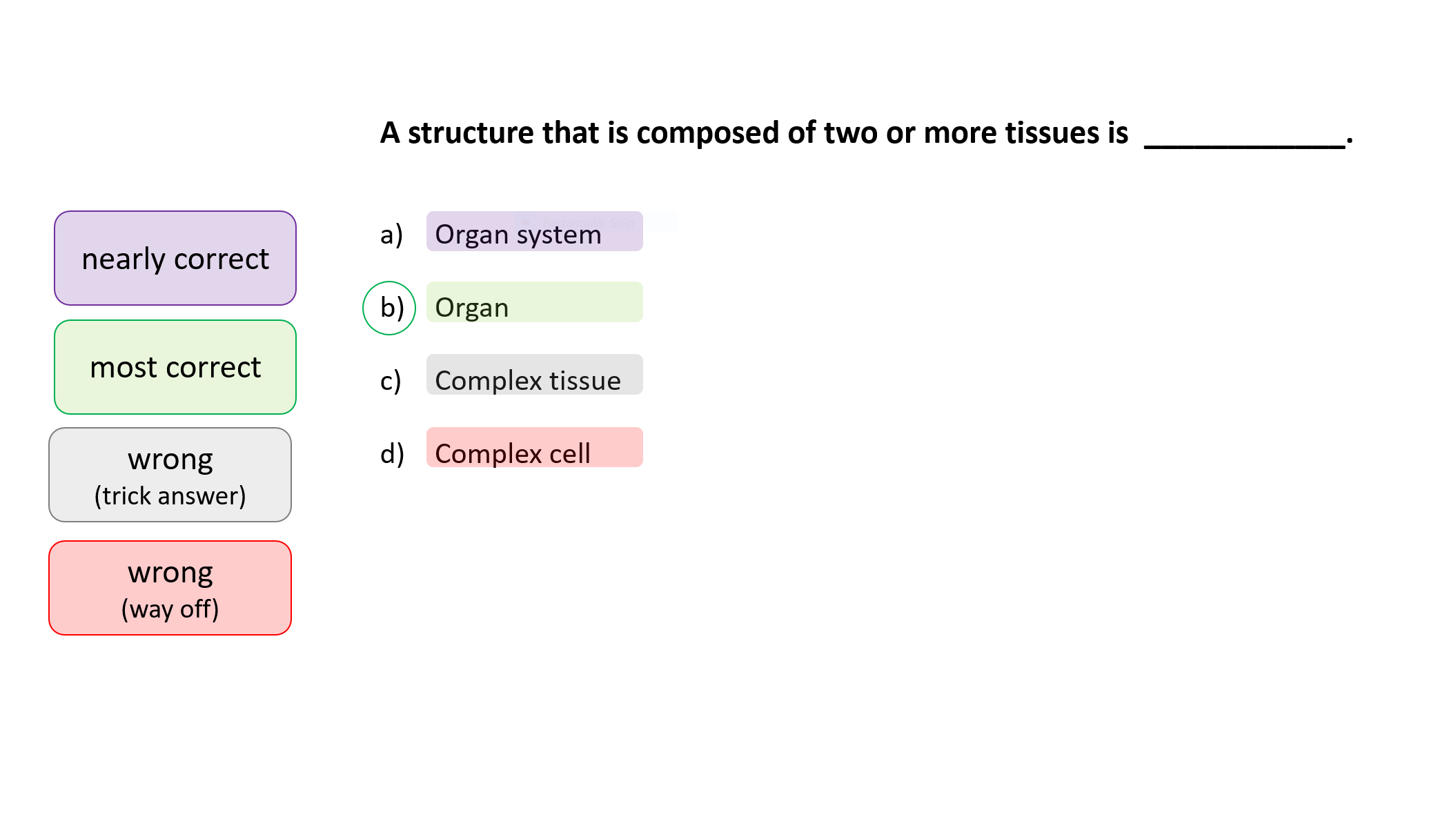 Exams multiple choice